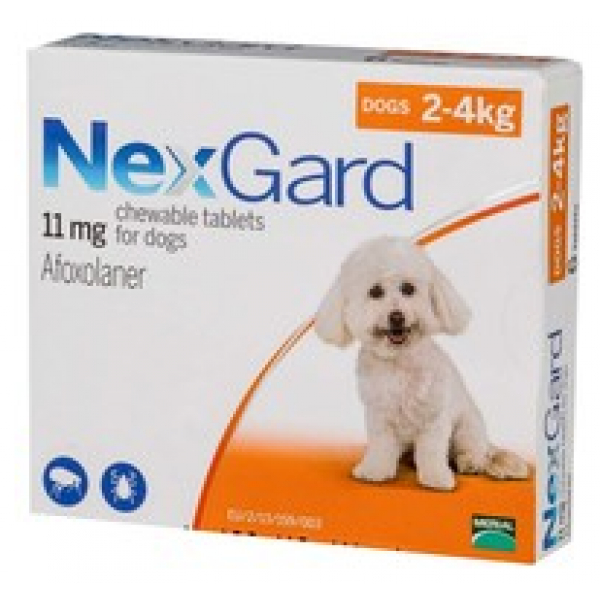 nexgard-for-dogs-everything-you-need-to-know-az-animals